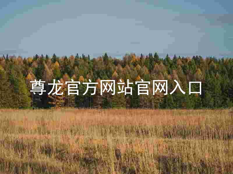 尊龙官方网站官网入口