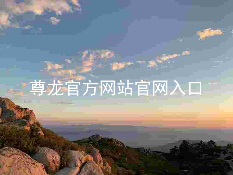 尊龙官方网站官网入口