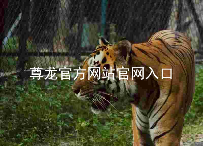 尊龙官方网站官网入口