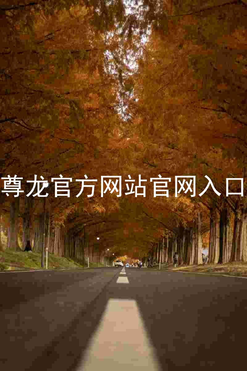 尊龙官方网站官网入口