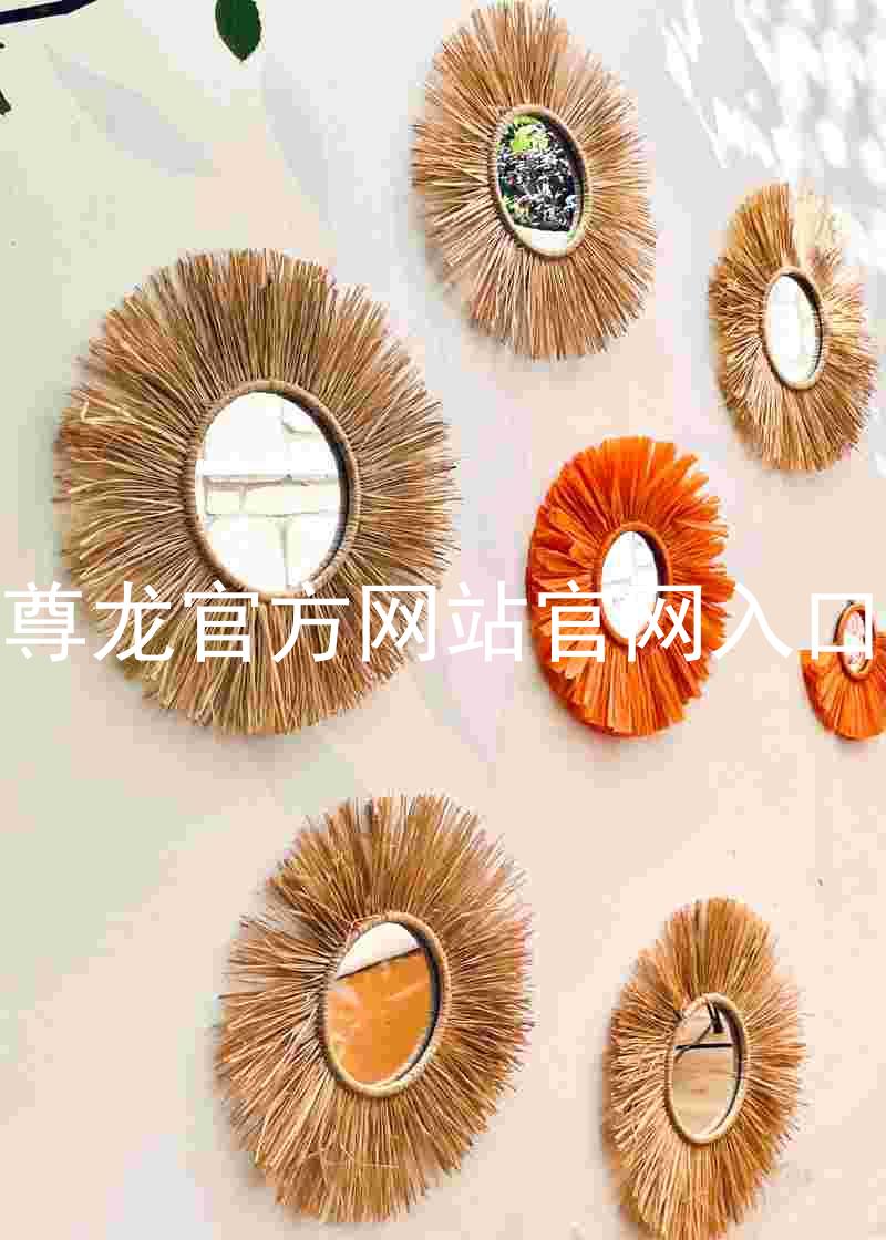 尊龙官方网站官网入口